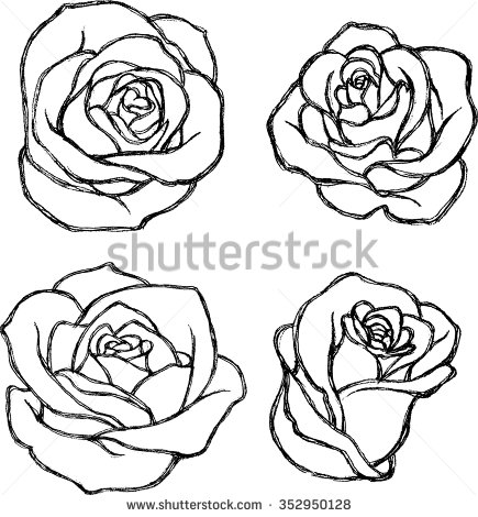 435x470 Amazing Design Drawn Rose Roses Step By Pictures Flower And Hearts