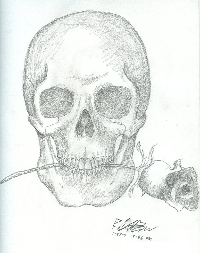 824x1040 Skull And Rose By Valigarmander