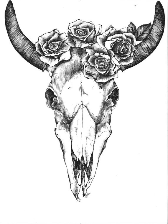 570x760 Bull Skull With Roses