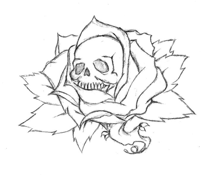720x587 Skull Rose By Radicalflaw