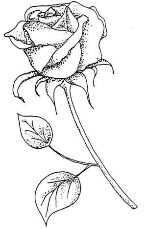 300x468 Large Rose Stem Creative Expressions