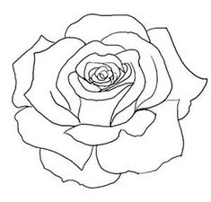 235x225 Pictures Line Drawing Rose,