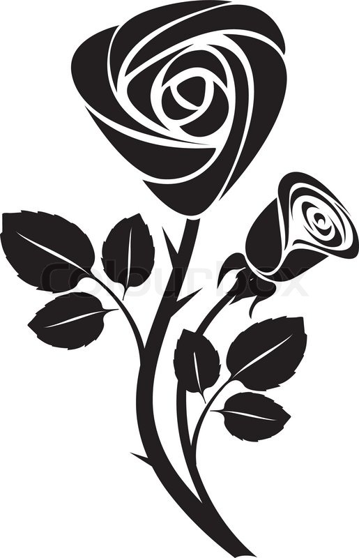 515x800 Sketch Black Rose Art Colorful Vector Illustration Stock Vector