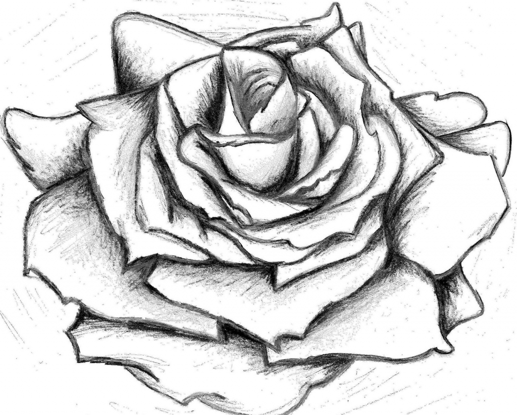 1024x822 Drawing A Rose