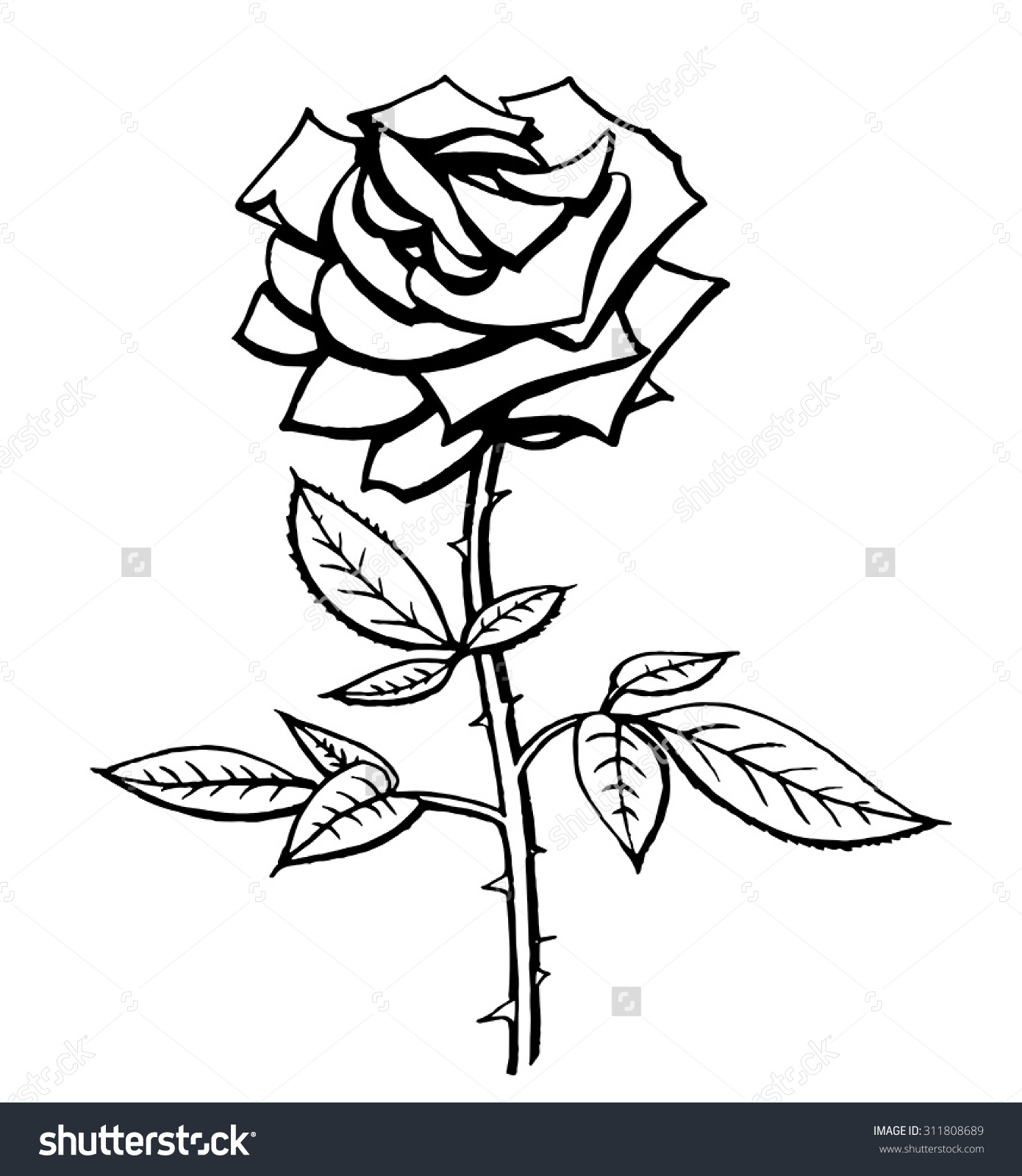 1390x1600 Rose Black And White Drawing Vector Black White Rose Drawing