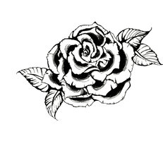 231x200 Black And White Drawing Of A Rose