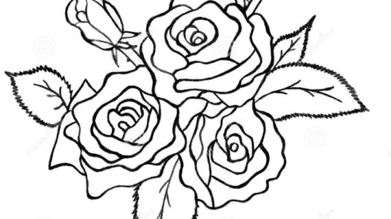 570x320 How To Draw A Bouquet Of Roses How To Draw Roses Step Step Flowers