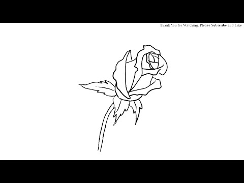 480x360 How To Draw A Lovely Rose Bud Simple Drawing For Kids Yzarts