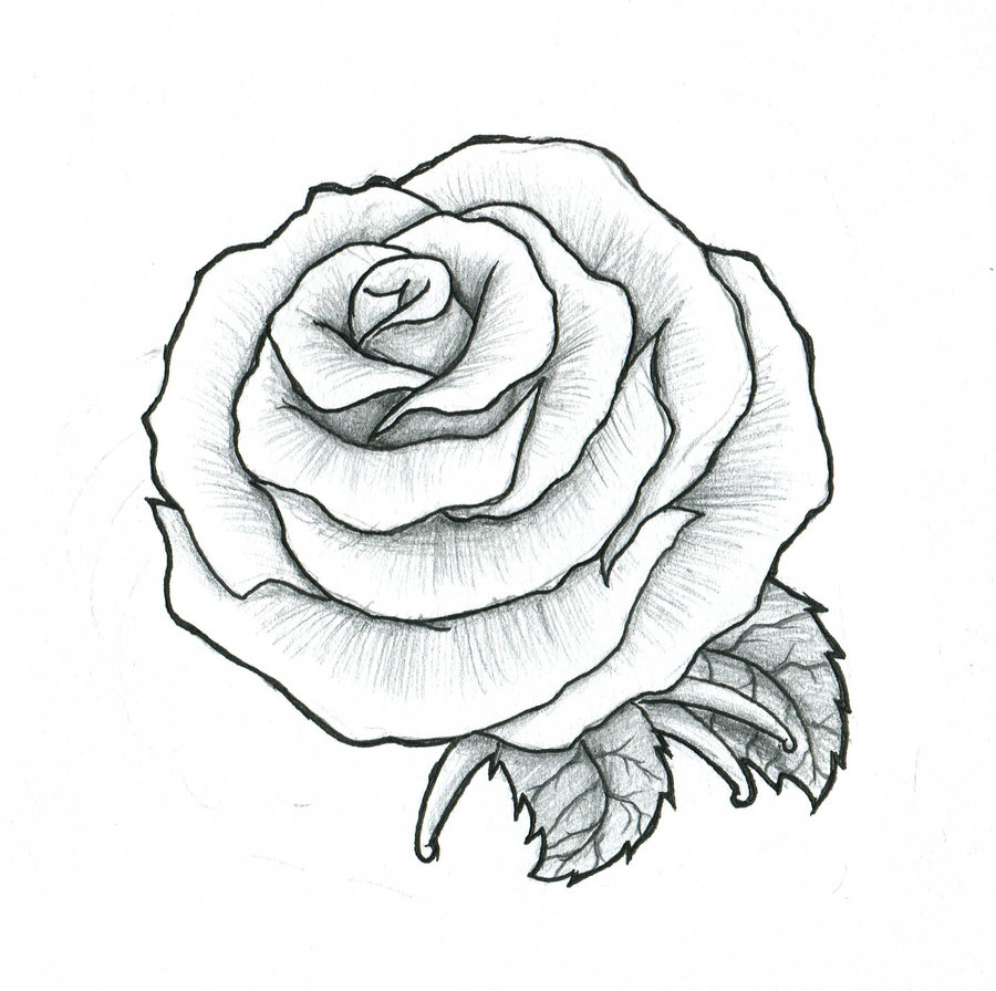 900x896 Rose Bud Tattoo Rosa In Drawing