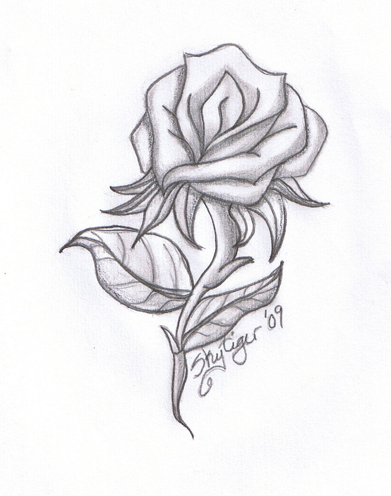 Rose Bud Drawing at GetDrawings | Free download