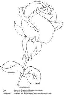 236x324 How To Draw A Rose Bud, Rose Bud, Step By Step, Flowers, Pop