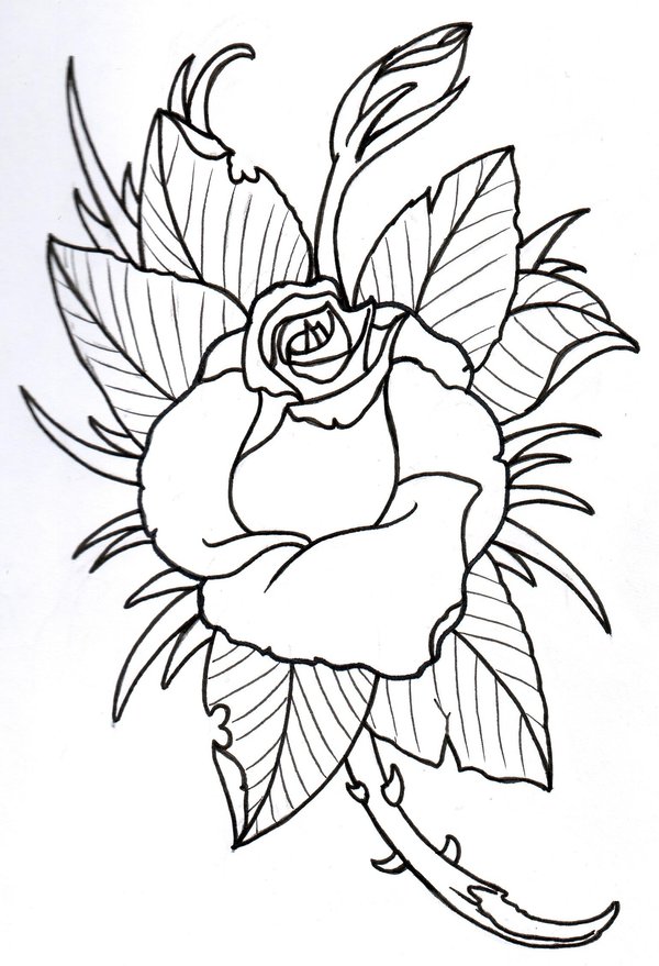 600x879 Rose Outline 2 By Vikingtattoo