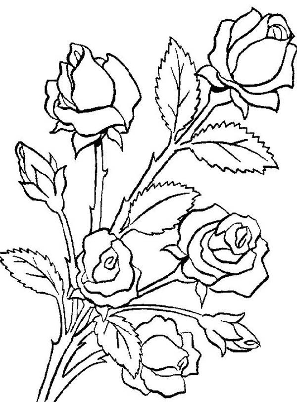 600x812 Best Flower Bouquet Drawing Ideas On Flower