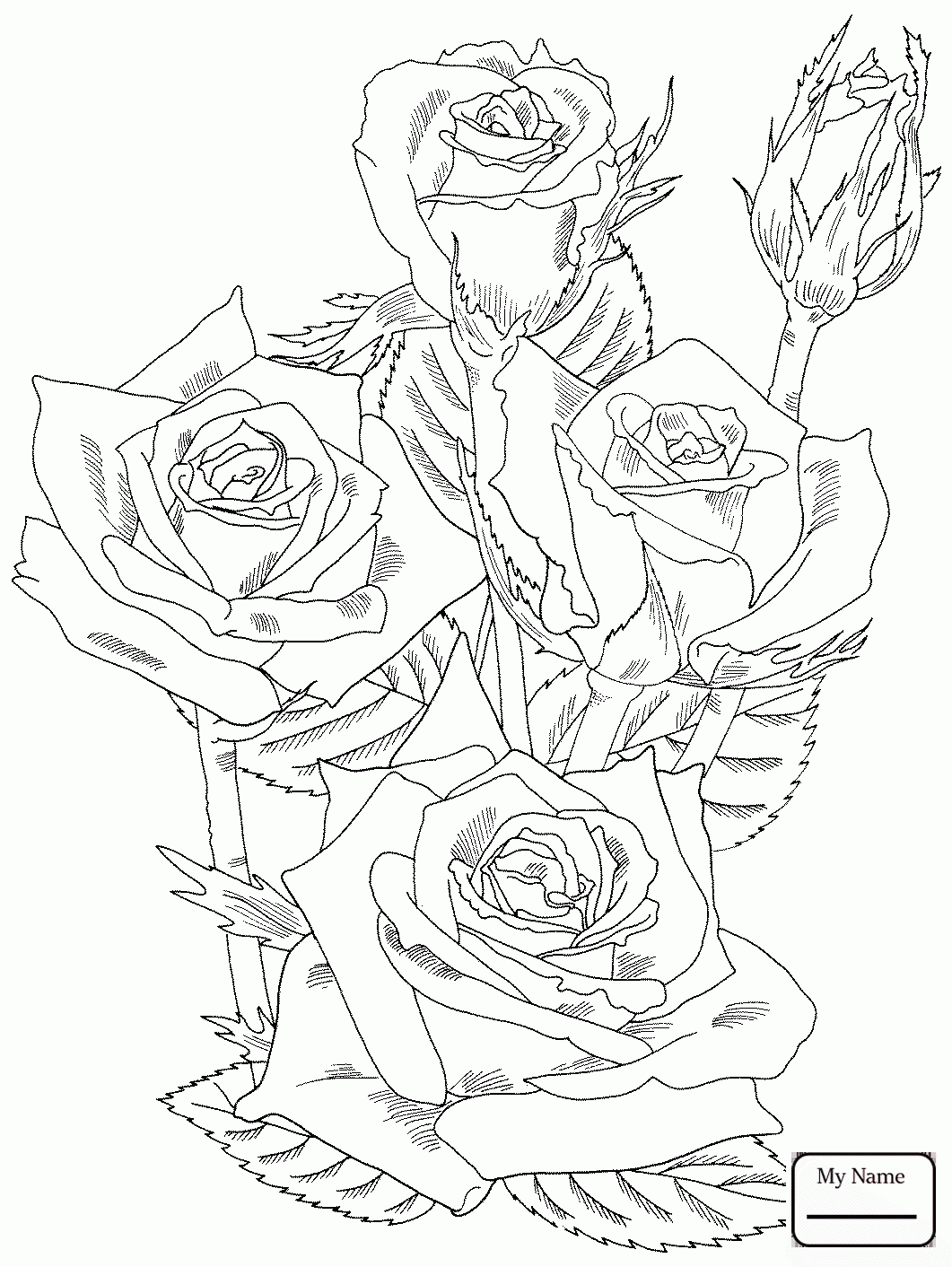 Rose Bush Drawing at GetDrawings | Free download