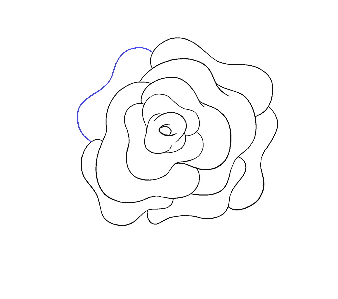 678x600 How To Draw A Rose Flower Easy Drawing Guides