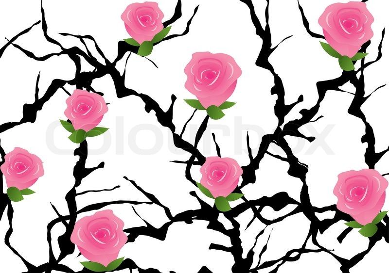800x563 Rose Bush Clipart Cartoon