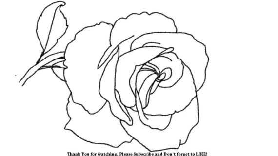 570x320 Rose Flower Picture Drawing How To Draw A Rose Flower Easy Line