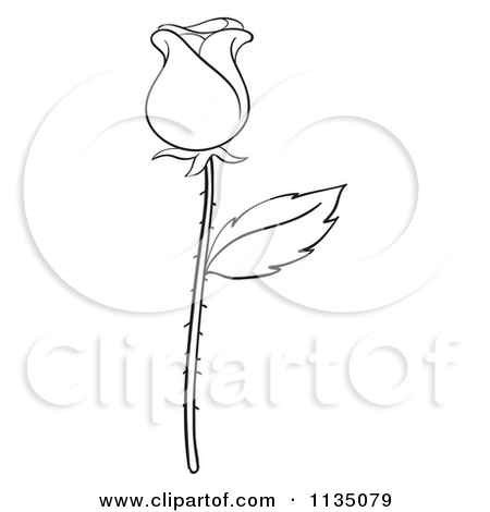 450x470 Three Roses Cartoon Clipart
