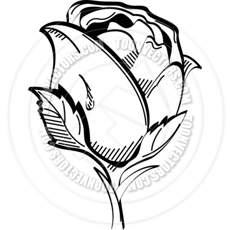 460x460 Cartoon Rose Vector Illustration By Clip Art Guy Toon Vectors