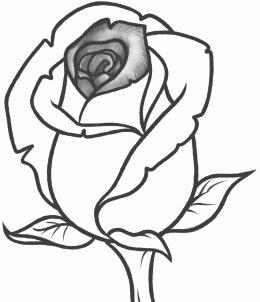 260x302 How To Sketch A Rose Recipe Rose Buds, Clear Stamps And Sketches