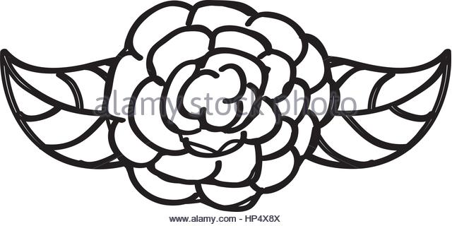 640x320 Rose Drawing Stock Photos Amp Rose Drawing Stock Images
