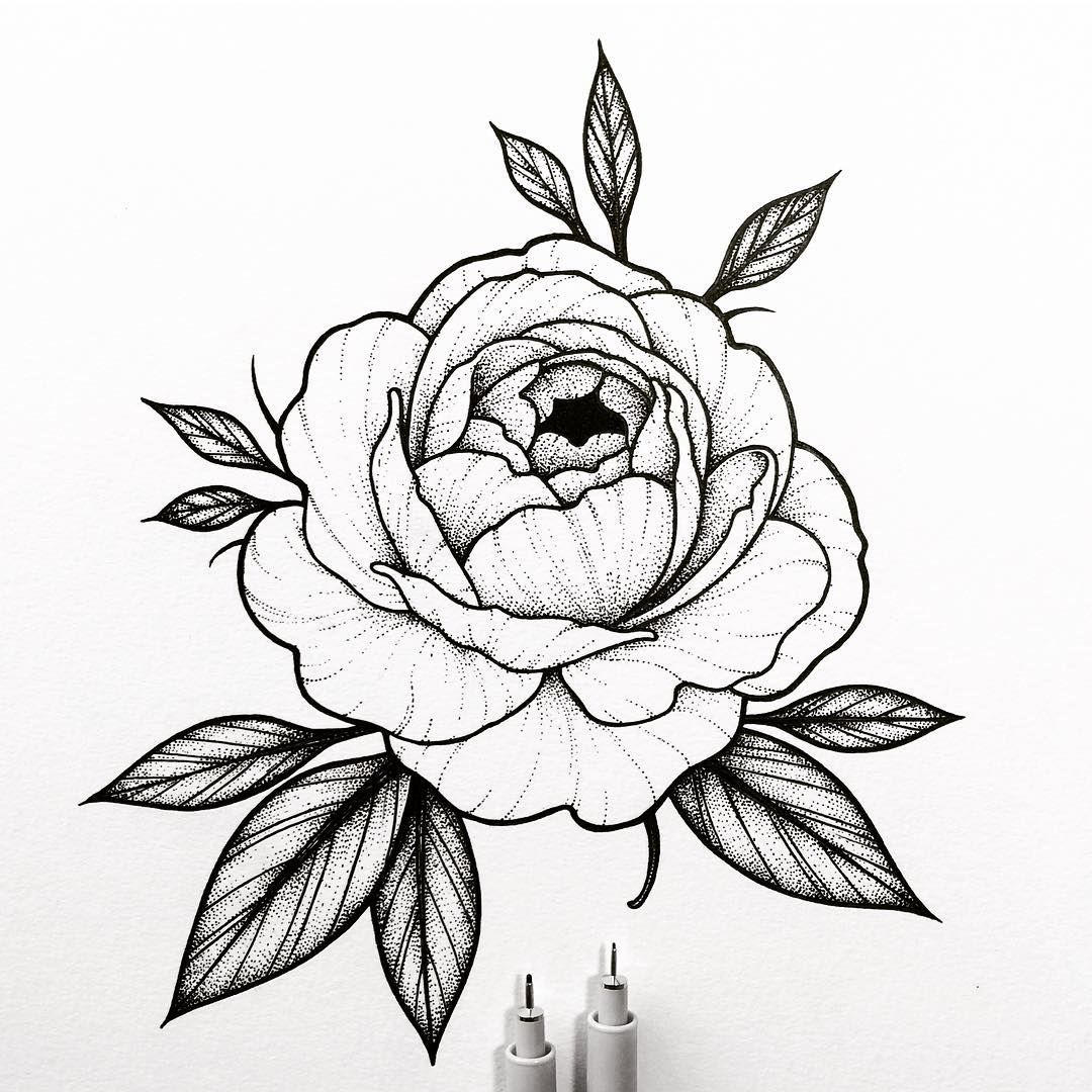 1080x1080 Peony Rose Design For April!