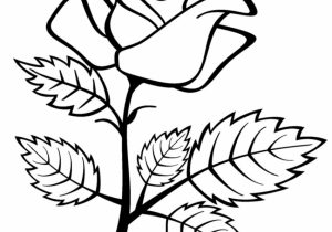 300x210 Flower Drawing Design Photos Flower Drawing Designs,