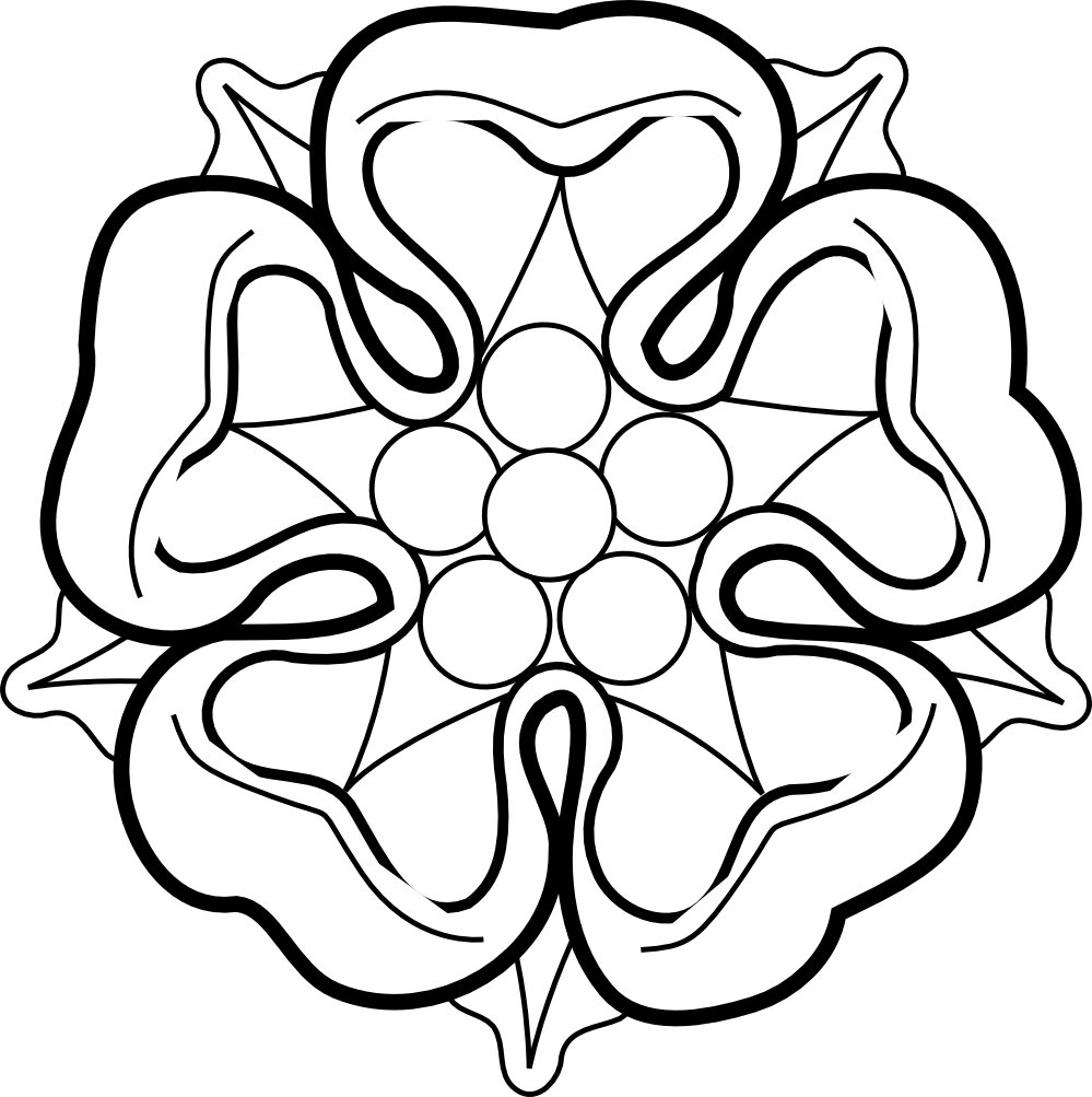 999x1003 White Rose Clipart Flower Drawing