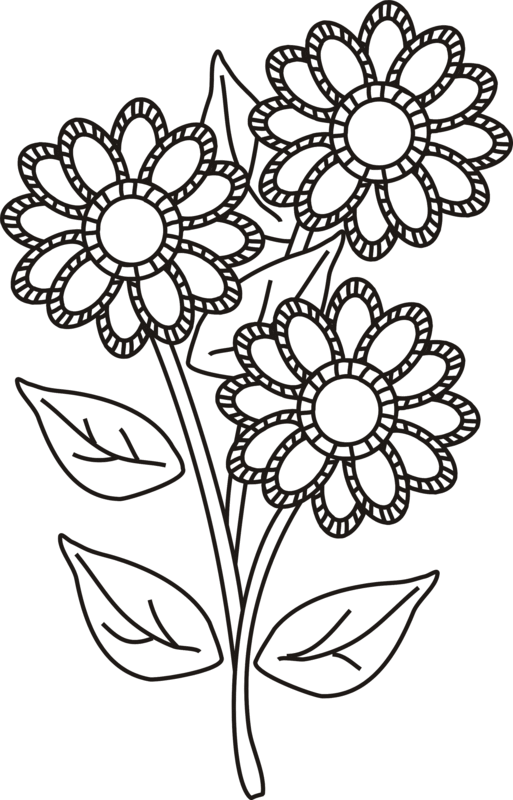 513x800 Flowers Drawing Pages