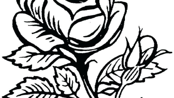 585x329 Picture Of A Rose To Color Roses Coloring Pages Free Of Rose