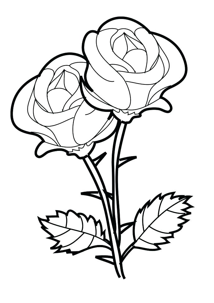 687x972 Coloring Roses Printable Roses To Color Coloring Pages Of Roses