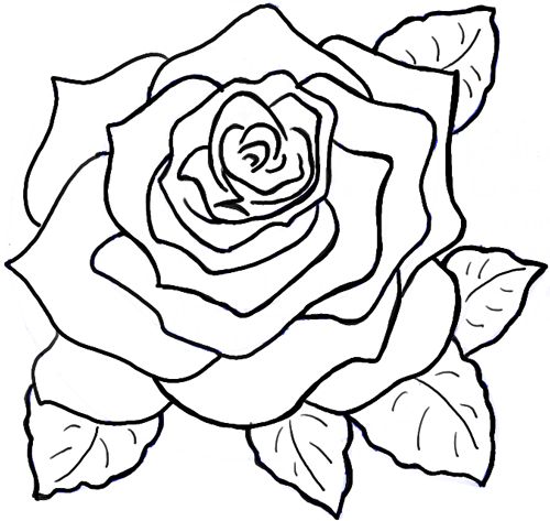 Rose Drawing Easy Step By Step at GetDrawings | Free download