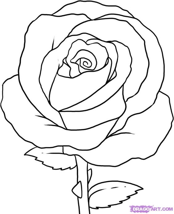 Rose Drawing Easy Step By Step at GetDrawings | Free download