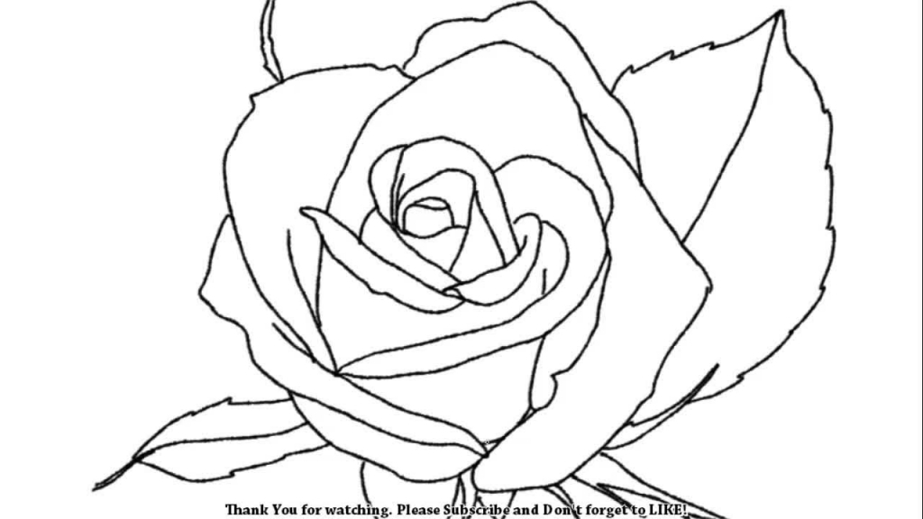 1024x576 Easy Rose Drawings How To Draw A Beautiful Rose Youtube