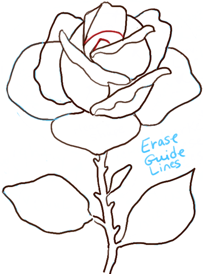 400x539 How To Draw Roses Step By Step Tutorial