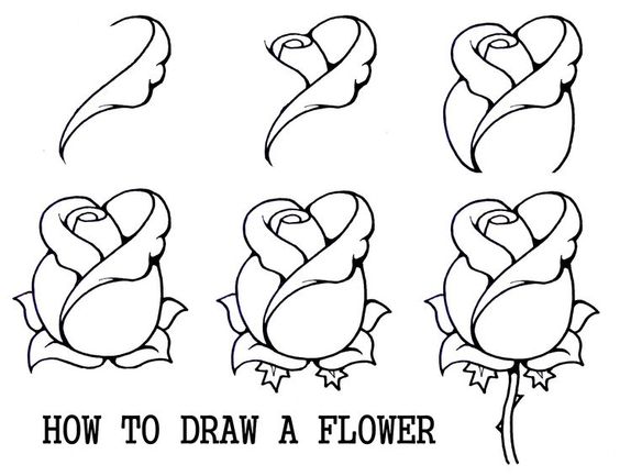 564x433 Image Result For Roses Drawings In Pencil Step By Step Roses