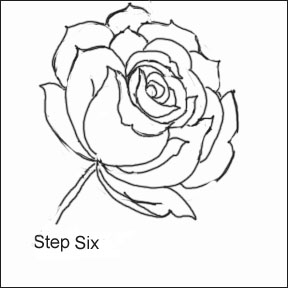 288x288 Rose Pencil Drawings Created For You Where You Can Learn To Draw