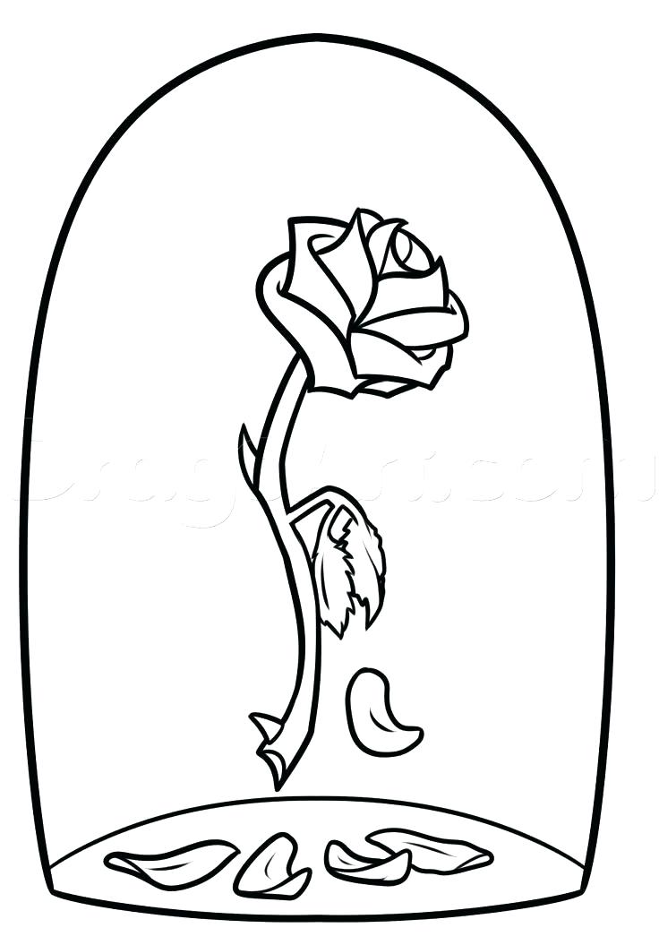 736x1055 Beauty And The Beast Coloring Pages Rose