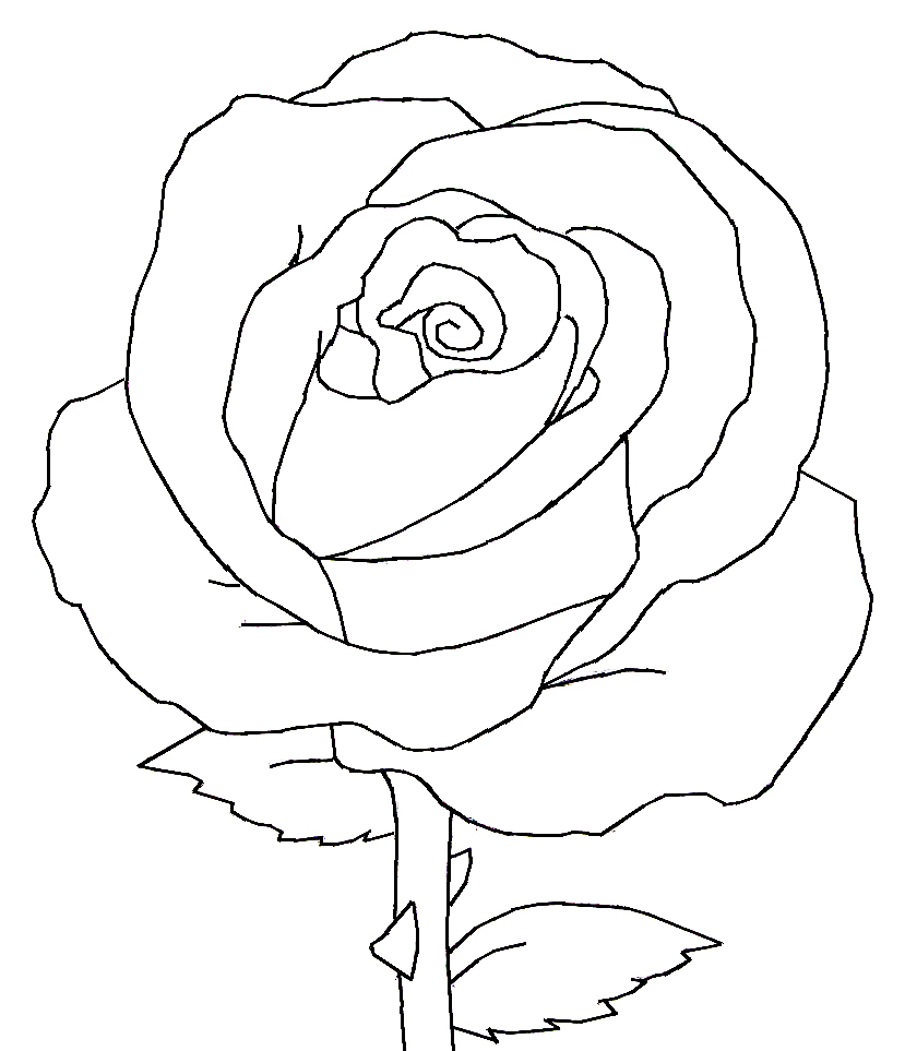 829x963 Black And White Sketches Of Rose How To Draw A Rose Easy