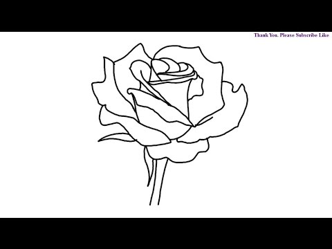 480x360 How To Draw Rose Step By Step Flower Drawing For Kids