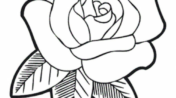 570x320 Rose Drawing For Kids How To Draw A Rose Flower