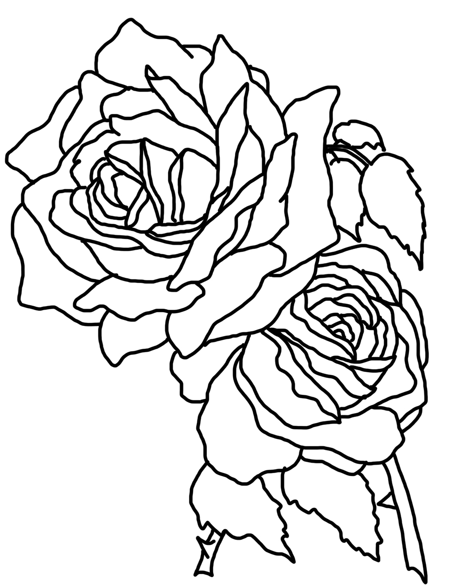 948x1181 Roses Coloring Pages For Kids To Download Free Printable Flowers