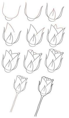 236x400 Image Result For How Draw Step By Step For Beginners Books