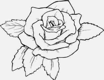 400x307 Rose Drawing ~ The All Image