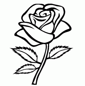 294x300 Drawn Flower Rose