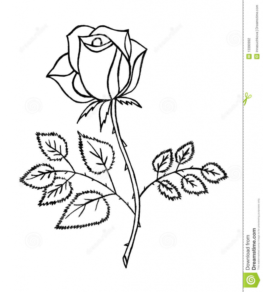 923x1024 Rose Flower Pencil Drawing Pencil Sketch Of Rose