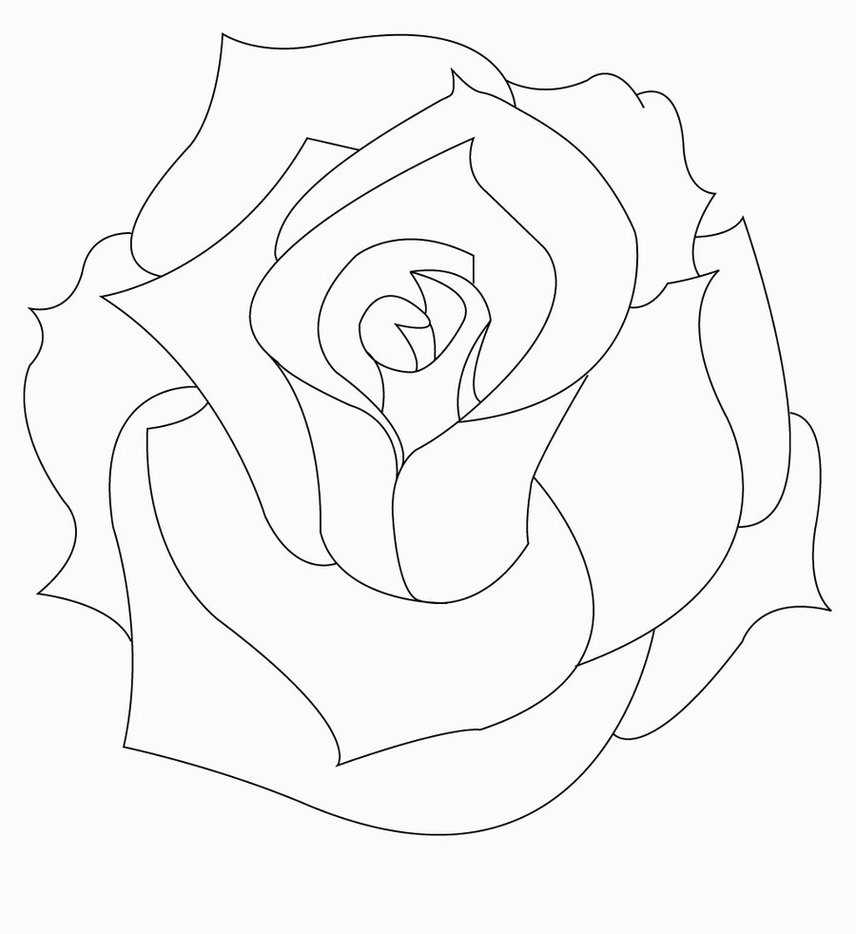 856x934 8cabermmi And Rose Drawing Outline