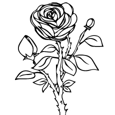 230x230 Top 25 Free Printable Beautiful Rose Coloring Pages For Kids