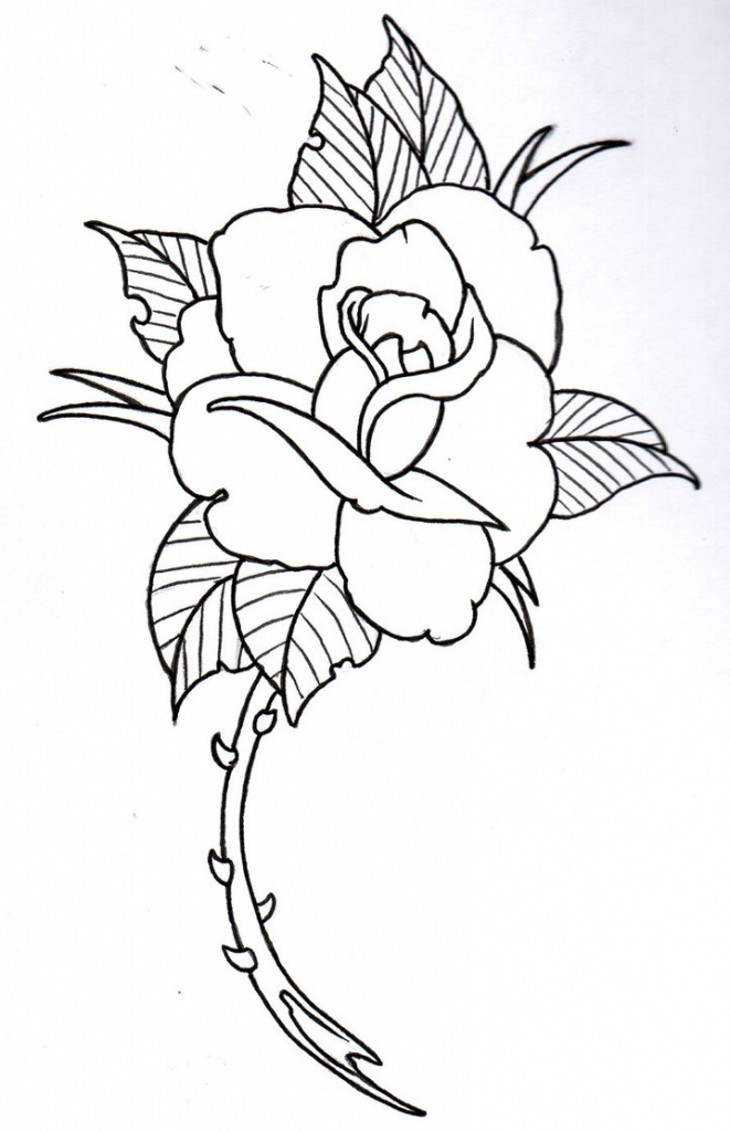 Rose Drawing Outline at GetDrawings | Free download
