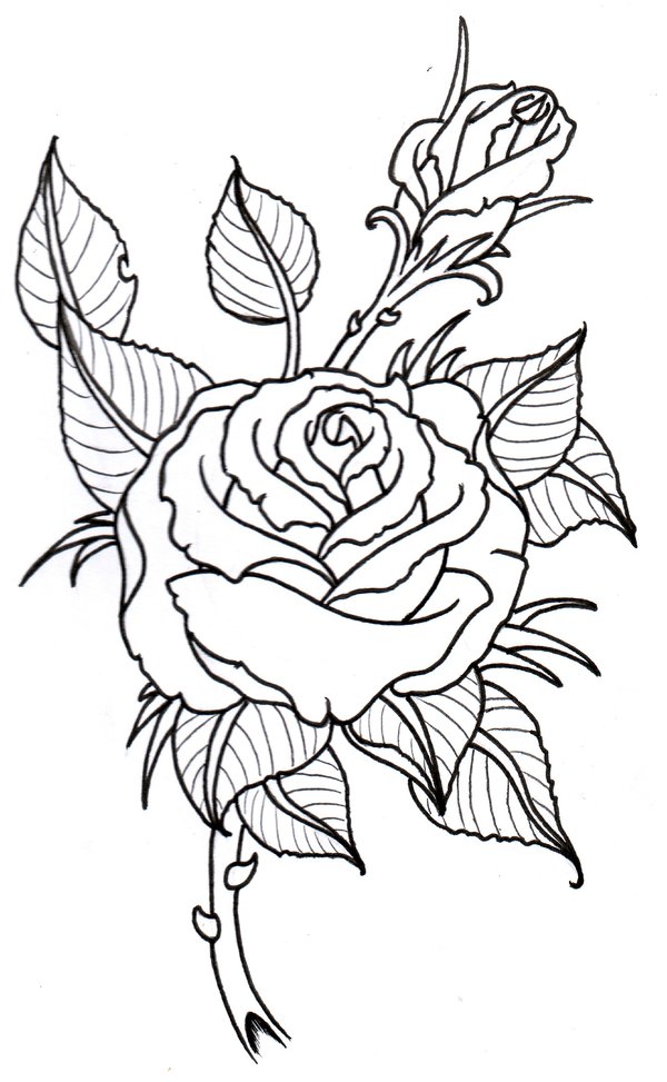 600x973 Rose Outline By Vikingtattoo